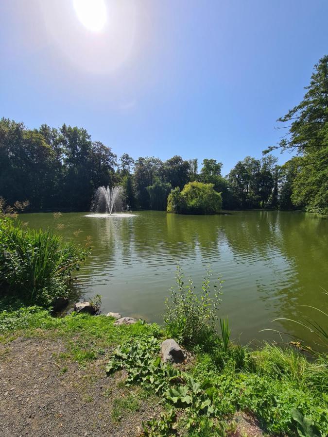Fe Wo Nele Lägenhet Alsfeld Exteriör bild